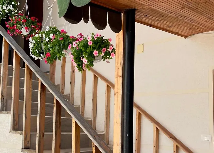 בית הארחה Aleks 3*